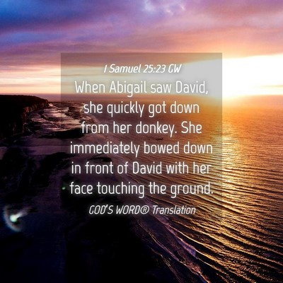 Picture 04 - 1 Samuel 25:23 GW - When Abigail saw David, she quickly got down from - Bible Verse Picture