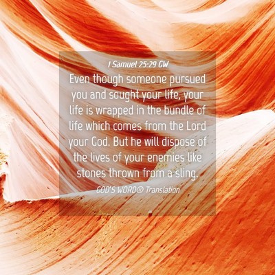 Picture 04 - 1 Samuel 25:29 GW - Even though someone pursued you and sought your - Bible Verse Picture