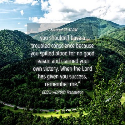 Picture 04 - 1 Samuel 25:31 GW - you shouldn’t have a troubled conscience - Bible Verse Picture