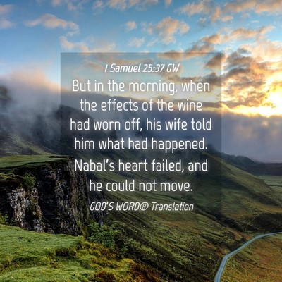 Picture 04 - 1 Samuel 25:37 GW - But in the morning, when the effects of the wine - Bible Verse Picture