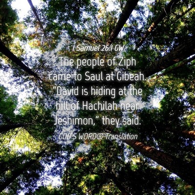 Picture 04 - 1 Samuel 26:1 GW - The people of Ziph came to Saul at Gibeah. - Bible Verse Picture