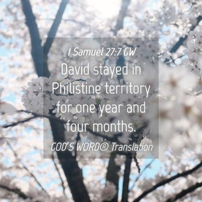 Picture 04 - 1 Samuel 27:7 GW - David stayed in Philistine territory for one year - Bible Verse Picture