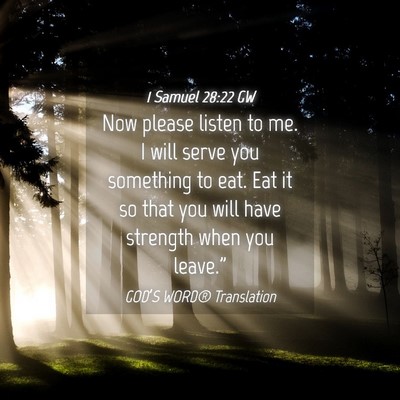 Picture 04 - 1 Samuel 28:22 GW - Now please listen to me. I will serve you - Bible Verse Picture