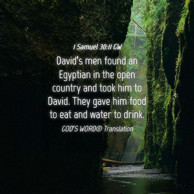 Picture 04 - 1 Samuel 30:11 GW - David’s men found an Egyptian in the open - Bible Verse Picture