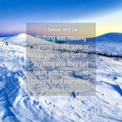Picture 04 - 1 Samuel 30:19 GW - Nothing was missing—young or old, sons or - Bible Verse Picture