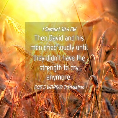 Picture 04 - 1 Samuel 30:4 GW - Then David and his men cried loudly until they - Bible Verse Picture