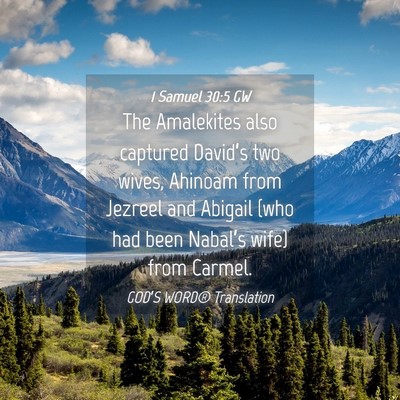 Picture 04 - 1 Samuel 30:5 GW - The Amalekites also captured David’s two wives, - Bible Verse Picture