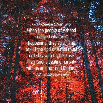 Picture 04 - 1 Samuel 5:7 GW - When the people of Ashdod realized what was - Bible Verse Picture