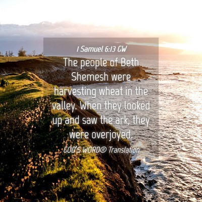 Picture 04 - 1 Samuel 6:13 GW - The people of Beth Shemesh were harvesting wheat - Bible Verse Picture