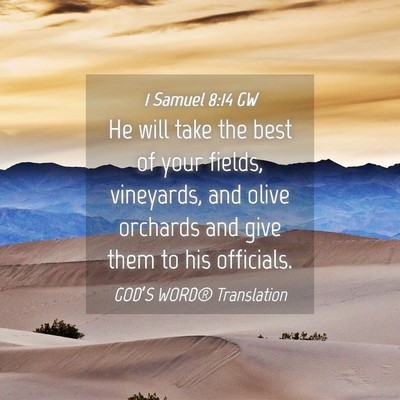 Picture 04 - 1 Samuel 8:14 GW - He will take the best of your fields, vineyards, - Bible Verse Picture