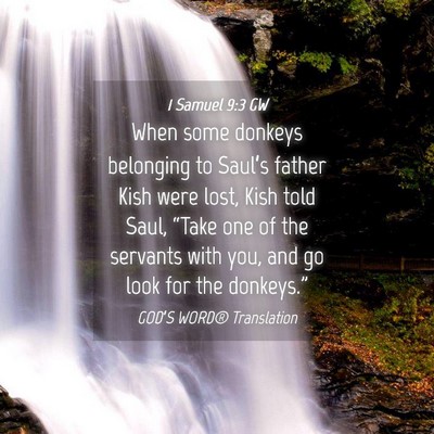 Picture 04 - 1 Samuel 9:3 GW - When some donkeys belonging to Saul’s father - Bible Verse Picture