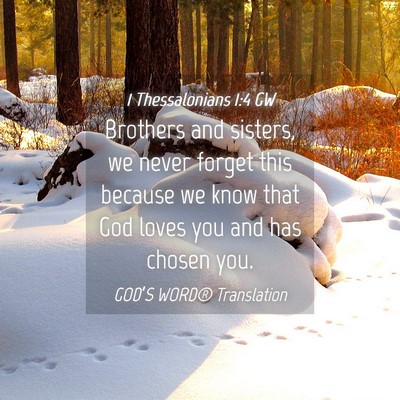 Picture 04 - 1 Thessalonians 1:4 GW - Brothers and sisters, we never forget this - Bible Verse Picture