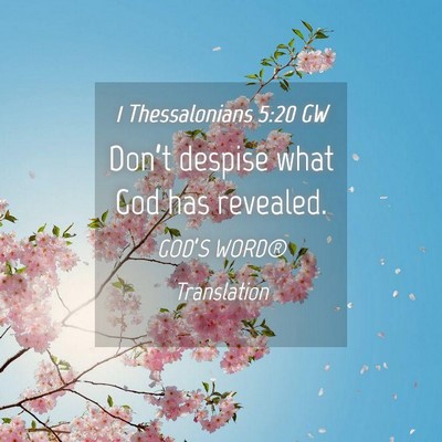 Picture 04 - 1 Thessalonians 5:20 GW - Don’t despise what God has - Bible Verse Picture