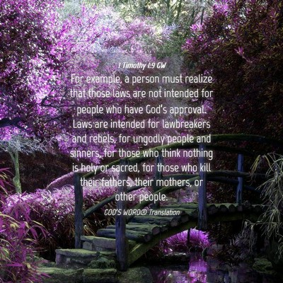Picture 04 - 1 Timothy 1:9 GW - For example, a person must realize that those - Bible Verse Picture