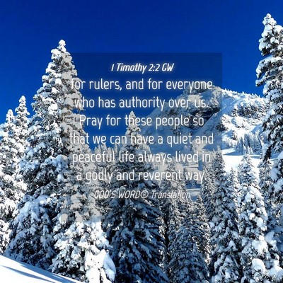 Picture 04 - 1 Timothy 2:2 GW - for rulers, and for everyone who has authority - Bible Verse Picture