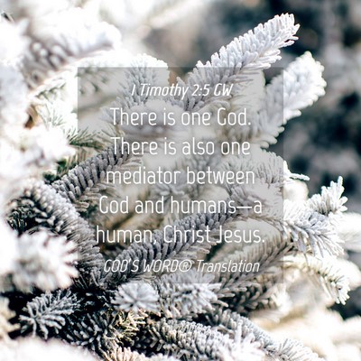 Picture 04 - 1 Timothy 2:5 GW - There is one God. There is also one mediator - Bible Verse Picture