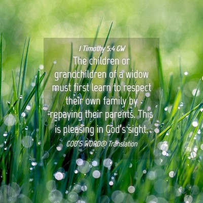 Picture 04 - 1 Timothy 5:4 GW - The children or grandchildren of a widow must - Bible Verse Picture
