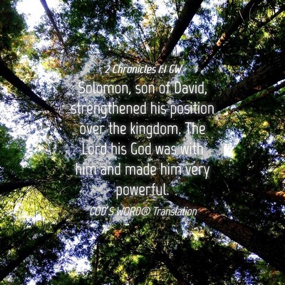 Picture 04 - 2 Chronicles 1:1 GW - Solomon, son of David, strengthened his position - Bible Verse Picture