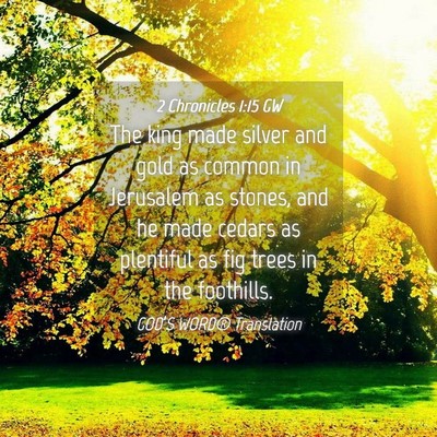 Picture 04 - 2 Chronicles 1:15 GW - The king made silver and gold as common in - Bible Verse Picture