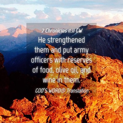 Picture 04 - 2 Chronicles 11:11 GW - He strengthened them and put army officers with - Bible Verse Picture