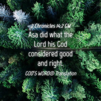 Picture 04 - 2 Chronicles 14:2 GW - Asa did what the Lord his God considered good and - Bible Verse Picture