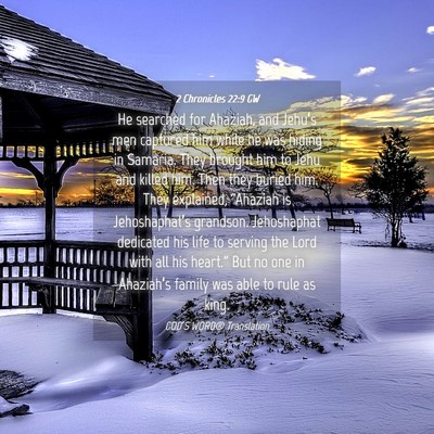 Picture 04 - 2 Chronicles 22:9 GW - He searched for Ahaziah, and Jehu’s men - Bible Verse Picture