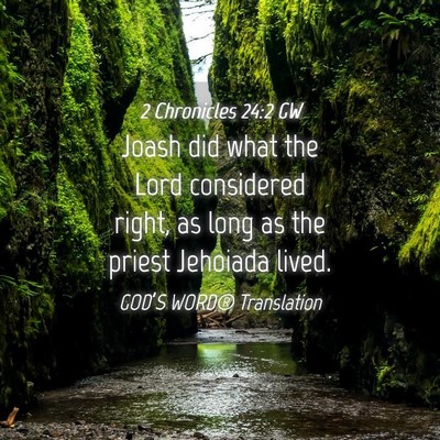 Picture 04 - 2 Chronicles 24:2 GW - Joash did what the Lord considered right, as long - Bible Verse Picture