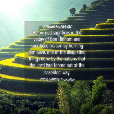 Picture 04 - 2 Chronicles 28:3 GW - He burned sacrifices in the valley of Ben Hinnom - Bible Verse Picture