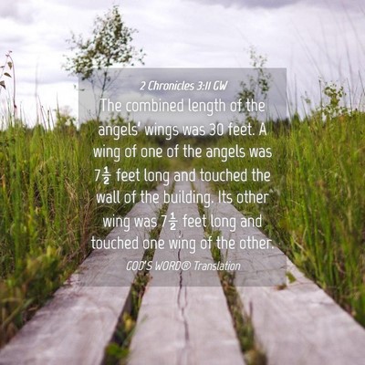 Picture 04 - 2 Chronicles 3:11 GW - The combined length of the angels’ wings was 30 - Bible Verse Picture