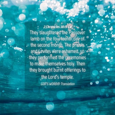 Picture 04 - 2 Chronicles 30:15 GW - They slaughtered the Passover lamb on the - Bible Verse Picture