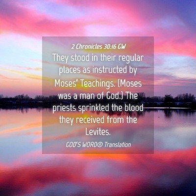 Picture 04 - 2 Chronicles 30:16 GW - They stood in their regular places as instructed - Bible Verse Picture