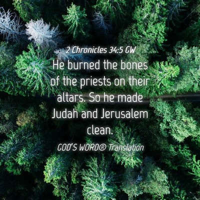 Picture 04 - 2 Chronicles 34:5 GW - He burned the bones of the priests on their - Bible Verse Picture
