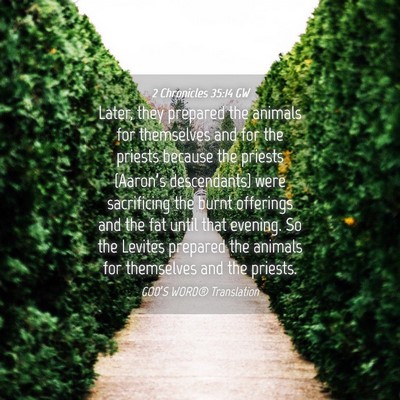 Picture 04 - 2 Chronicles 35:14 GW - Later, they prepared the animals for themselves - Bible Verse Picture
