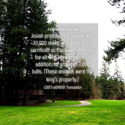 Picture 04 - 2 Chronicles 35:7 GW - Josiah provided the people with 33,000 sheep and - Bible Verse Picture