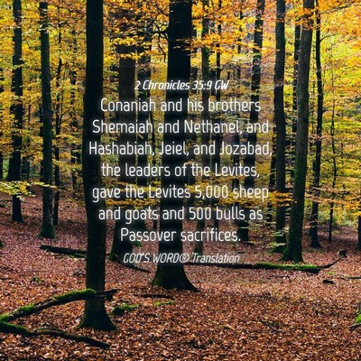 Picture 04 - 2 Chronicles 35:9 GW - Conaniah and his brothers Shemaiah and Nethanel, - Bible Verse Picture