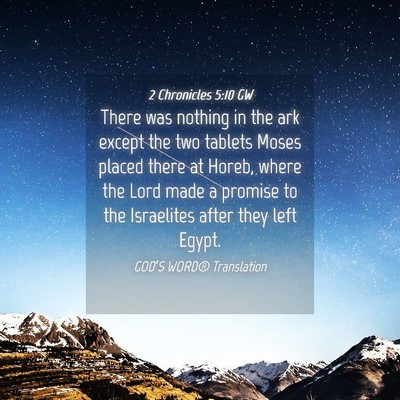 Picture 04 - 2 Chronicles 5:10 GW - There was nothing in the ark except the two - Bible Verse Picture