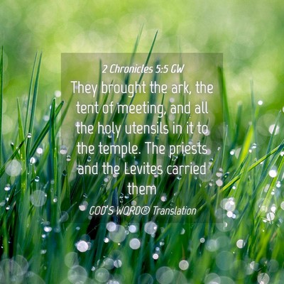 Picture 04 - 2 Chronicles 5:5 GW - They brought the ark, the tent of meeting, and - Bible Verse Picture