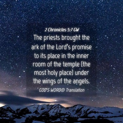 Picture 04 - 2 Chronicles 5:7 GW - The priests brought the ark of the Lord’s - Bible Verse Picture