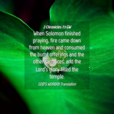 Picture 04 - 2 Chronicles 7:1 GW - When Solomon finished praying, fire came down - Bible Verse Picture