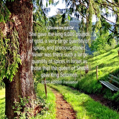 Picture 04 - 2 Chronicles 9:9 GW - She gave the king 9,000 pounds of gold, a very - Bible Verse Picture