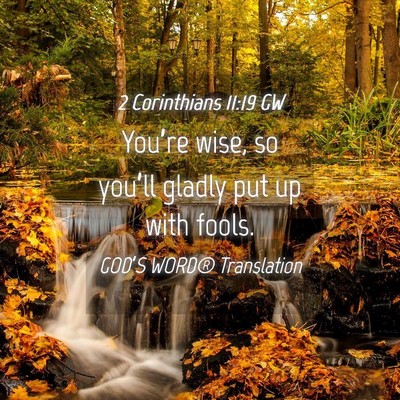 Picture 04 - 2 Corinthians 11:19 GW - You’re wise, so you’ll gladly put up with - Bible Verse Picture