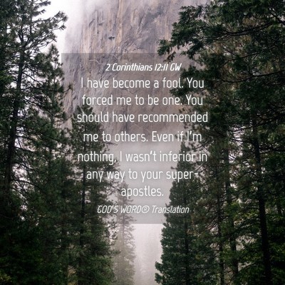 Picture 04 - 2 Corinthians 12:11 GW - I have become a fool. You forced me to be one. - Bible Verse Picture