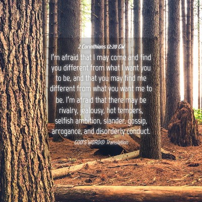 Picture 04 - 2 Corinthians 12:20 GW - I’m afraid that I may come and find you - Bible Verse Picture