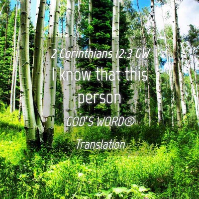 Picture 04 - 2 Corinthians 12:3 GW - I know that this - Bible Verse Picture