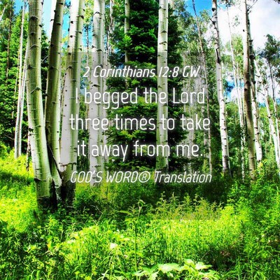 Picture 04 - 2 Corinthians 12:8 GW - I begged the Lord three times to take it away - Bible Verse Picture