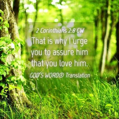 Picture 04 - 2 Corinthians 2:8 GW - That is why I urge you to assure him that you - Bible Verse Picture