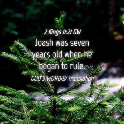 Picture 04 - 2 Kings 11:21 GW - Joash was seven years old when he began to - Bible Verse Picture