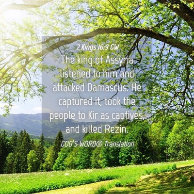 Picture 04 - 2 Kings 16:9 GW - The king of Assyria listened to him and attacked - Bible Verse Picture