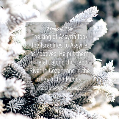 Picture 04 - 2 Kings 18:11 GW - The king of Assyria took the Israelites to - Bible Verse Picture