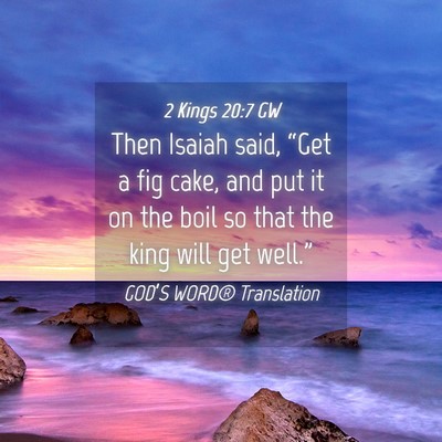 Picture 04 - 2 Kings 20:7 GW - Then Isaiah said, “Get a fig cake, and put it - Bible Verse Picture